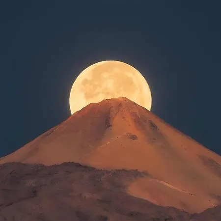 By The Few Steps